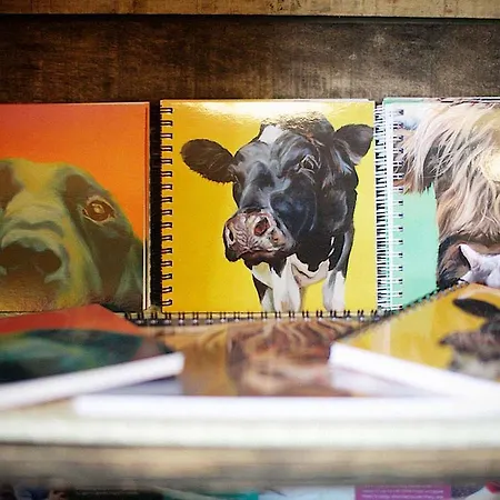 Bank Ground Farm 4* Coniston