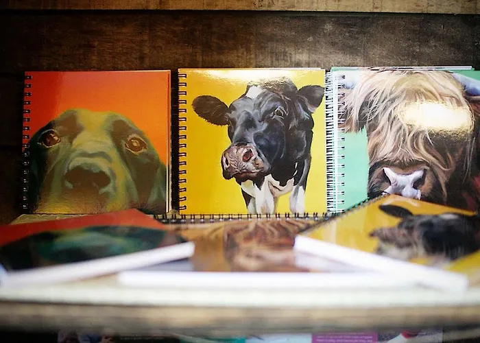 Bank Ground Farm 4* كونيستون